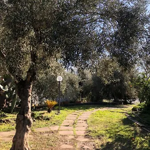  Casa vacanze Casa L'ulivo